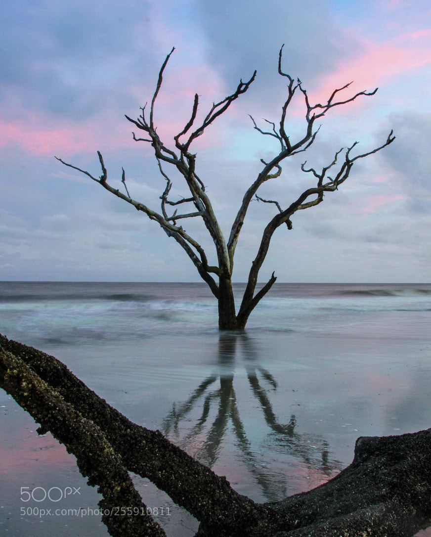 Nikon D7000 sample photo. Botany bay at sunset photography