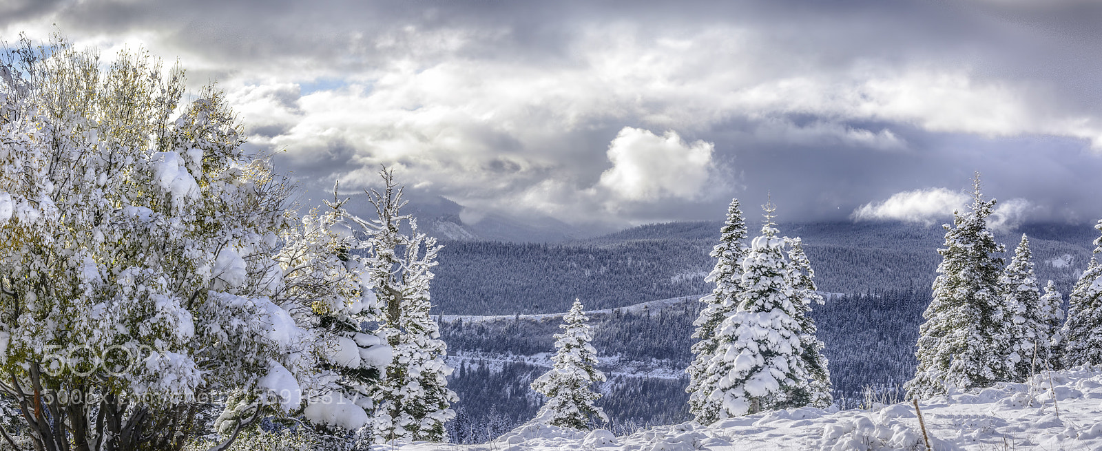 Nikon D7100 sample photo. After the snow photography