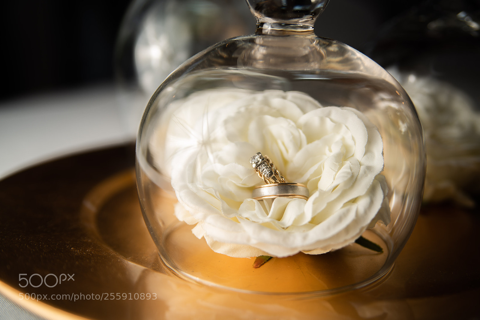 Sony a99 II sample photo. Rings in glass photography