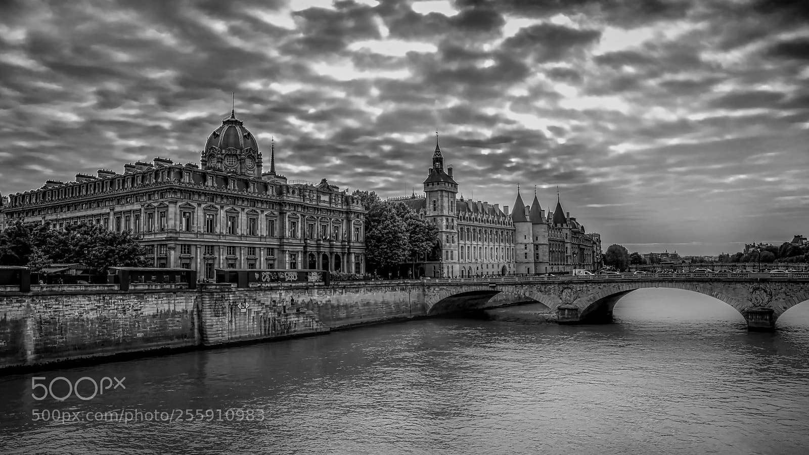Nikon D500 sample photo. Beautiful seine photography