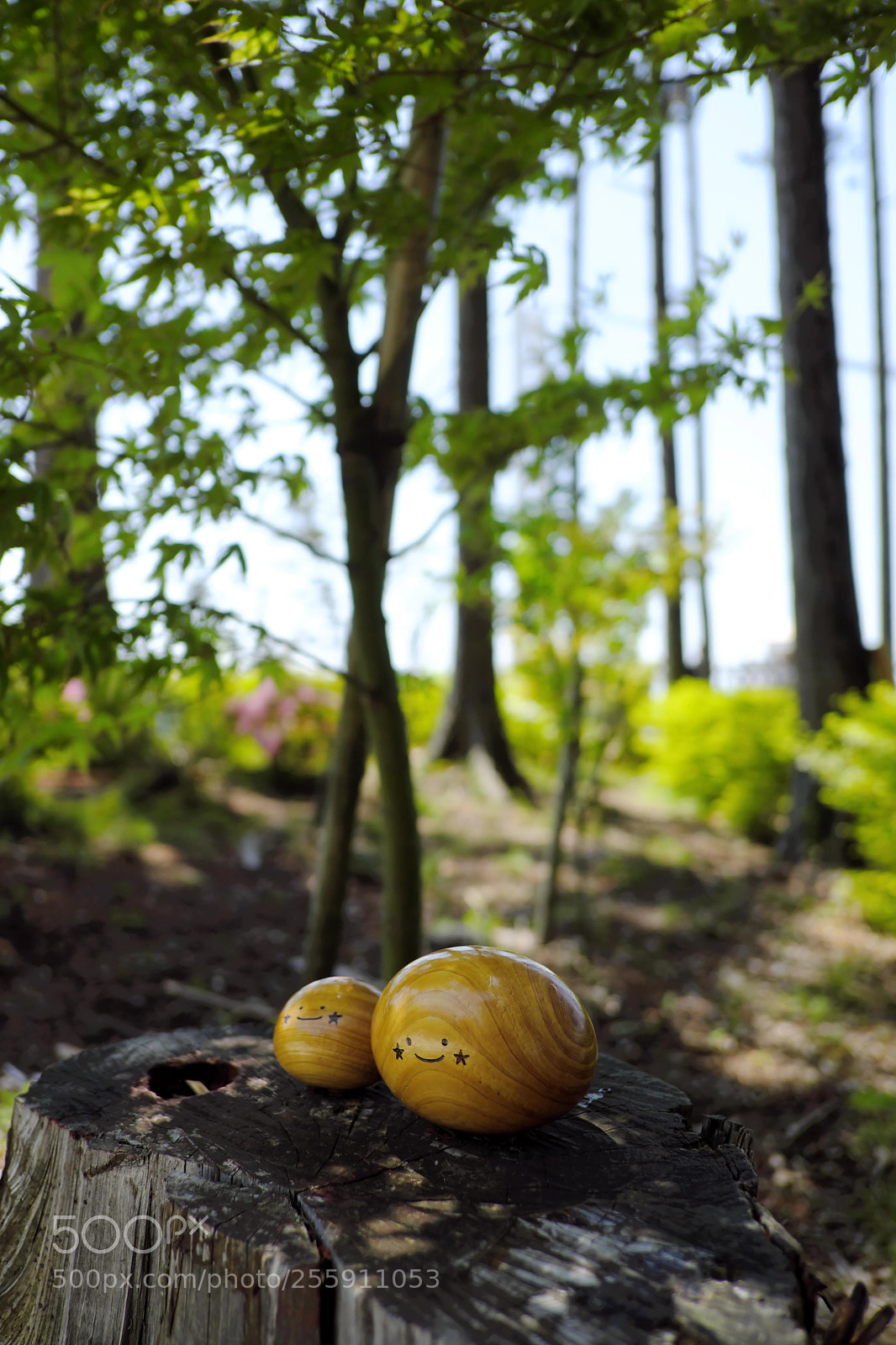 Fujifilm X-T2 sample photo. Kicoro photography
