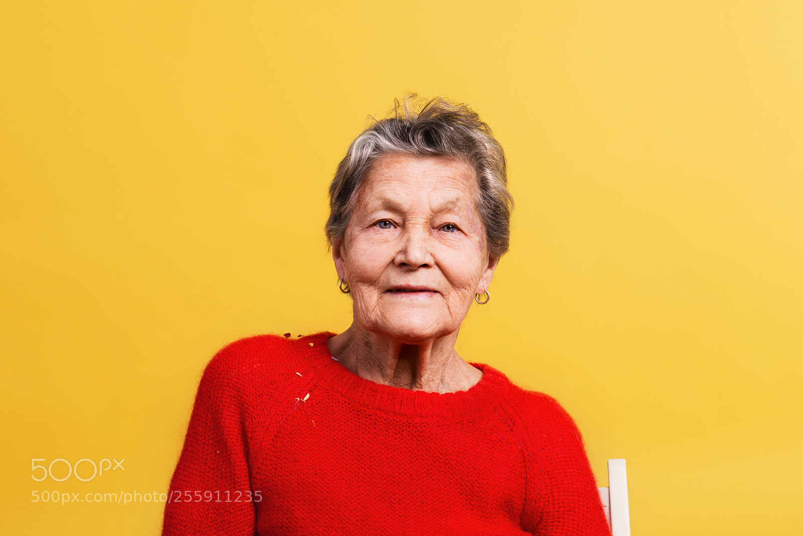 Nikon D800 sample photo. Portrait of a senior photography
