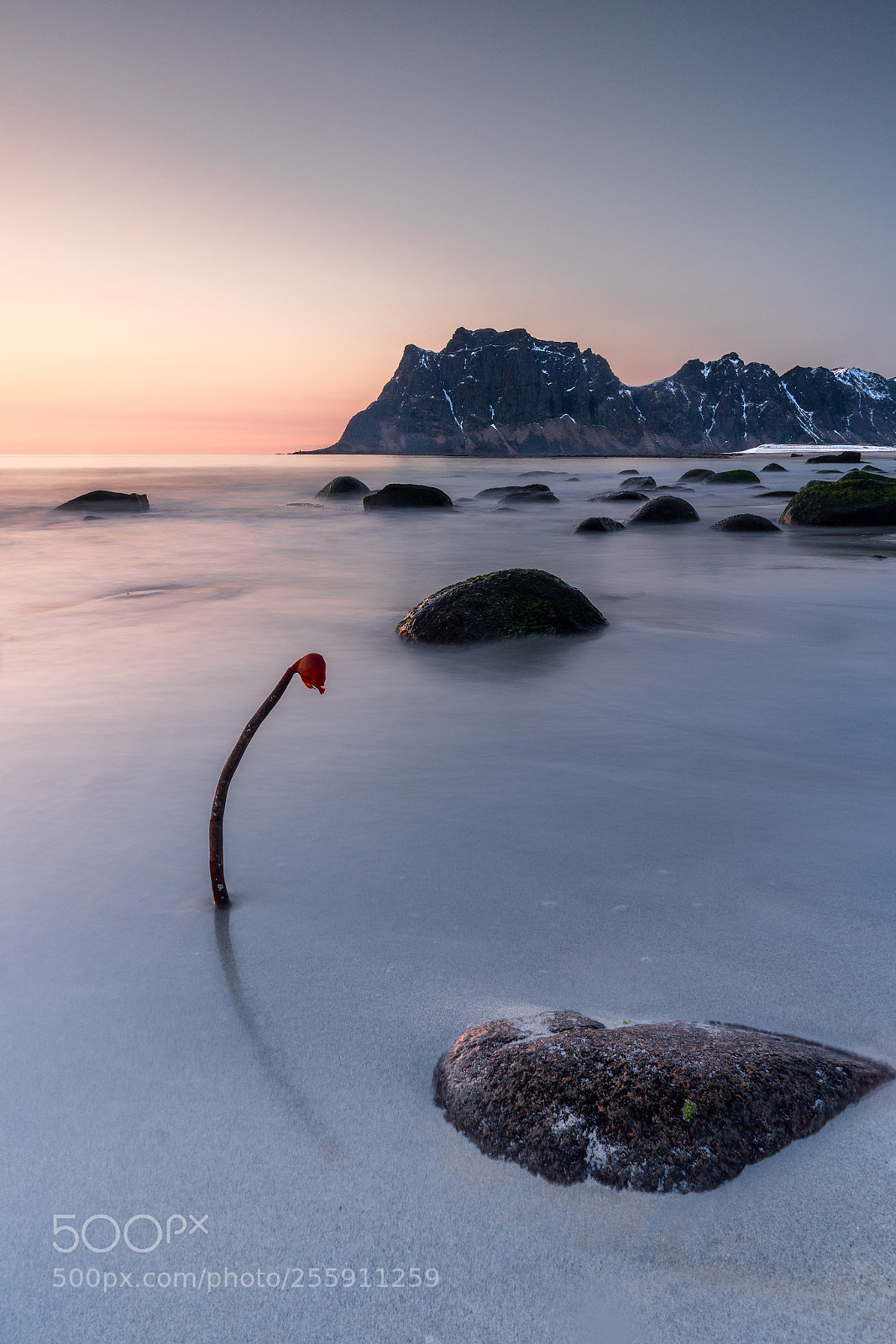 Sony a7R III sample photo. Utakleiv dawn photography