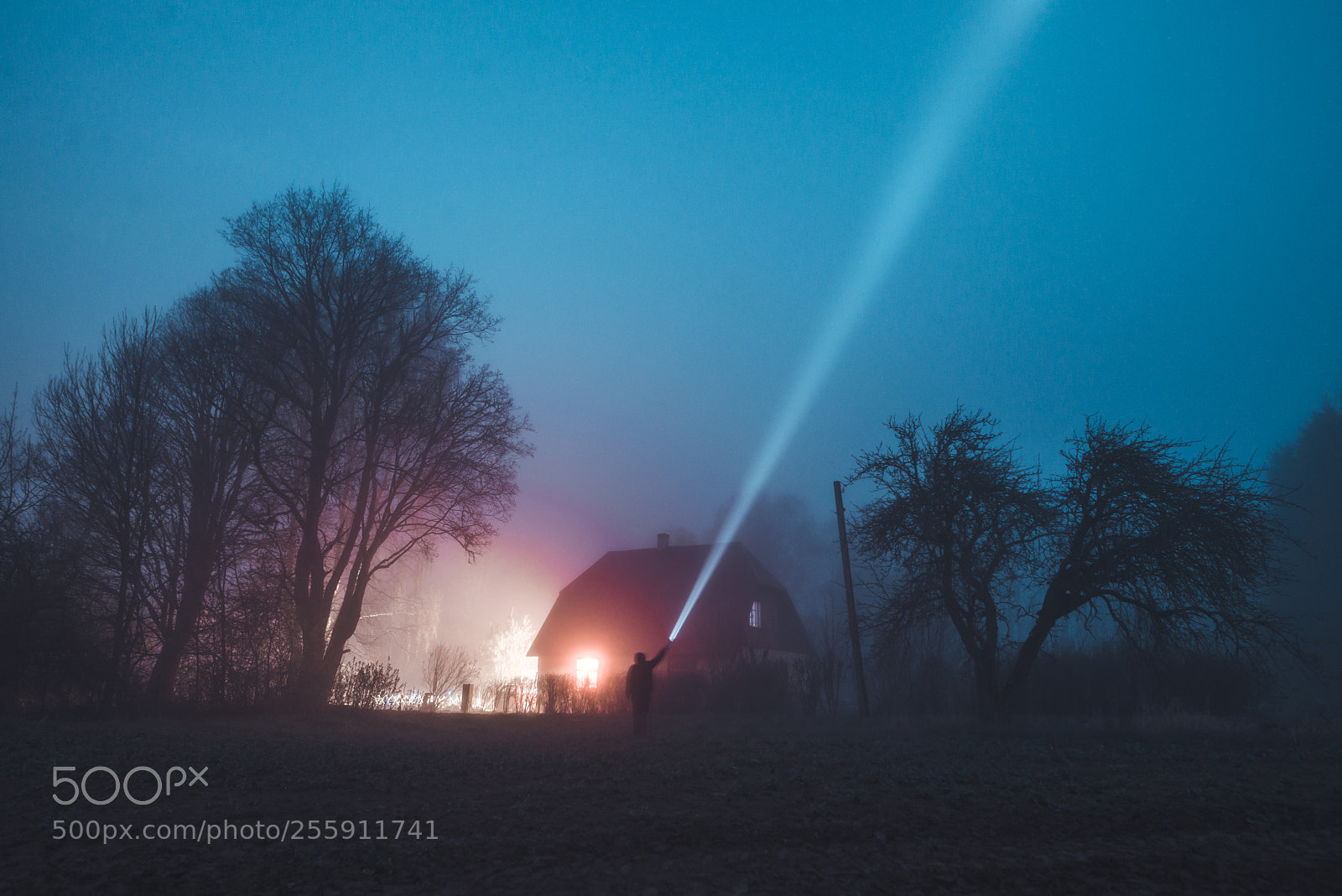 Nikon D610 sample photo. A cold and foggy photography
