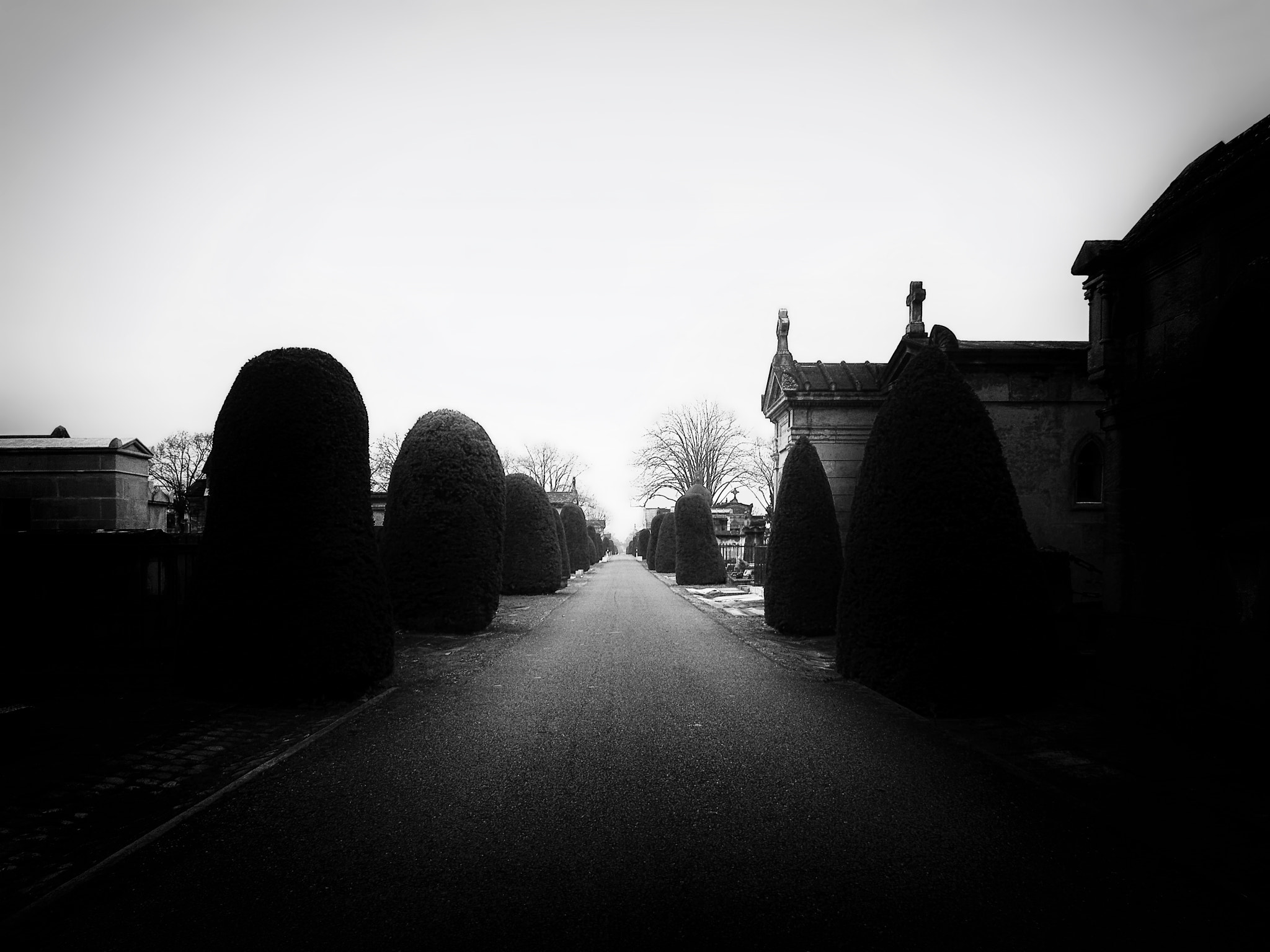 Pentax X90 sample photo. Bordeaux, cimetière de la chartreuse, 2014 photography