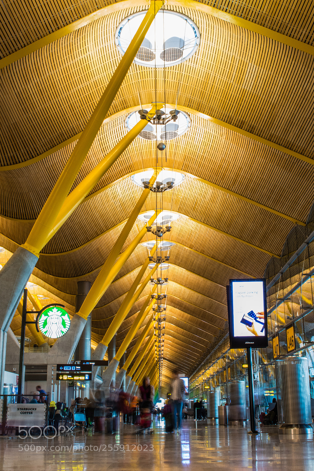 Canon EOS 7D Mark II sample photo. To the plane photography