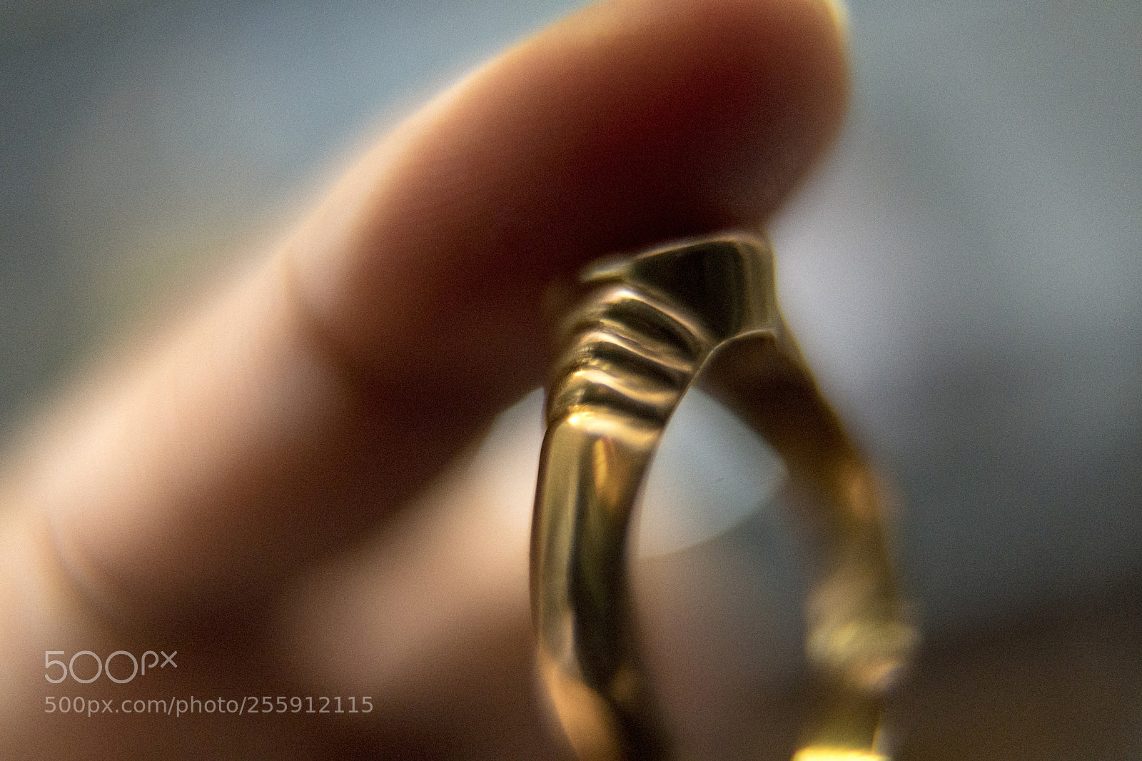 Sony a6300 sample photo. Old school macro life photography