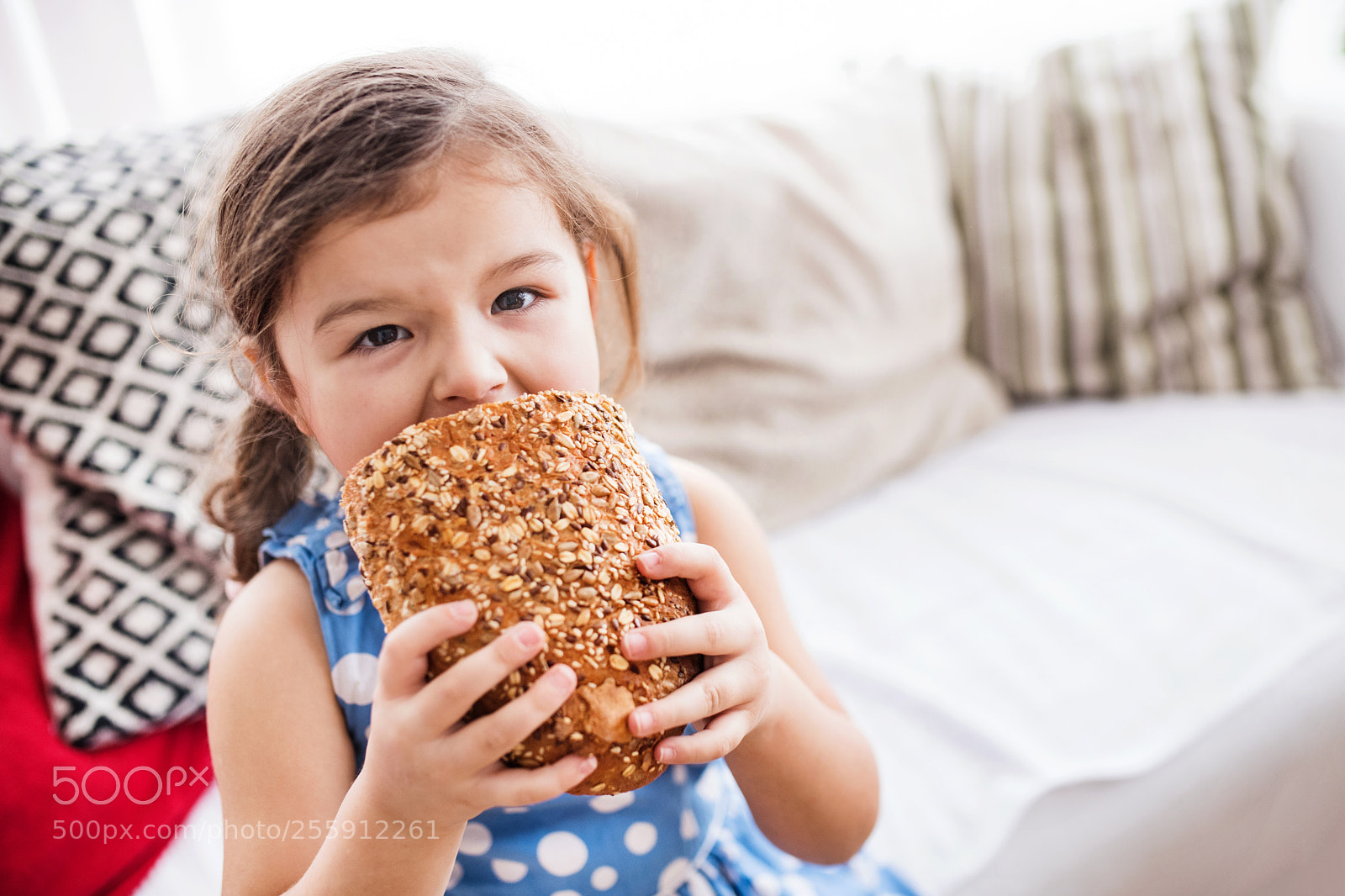 Nikon D5 sample photo. A small girl at photography