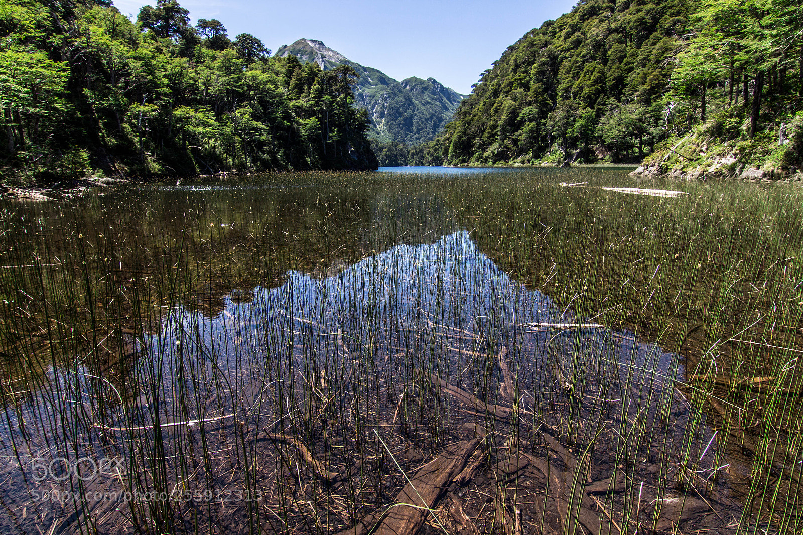 Canon EOS 700D (EOS Rebel T5i / EOS Kiss X7i) sample photo. Laguna toro photography