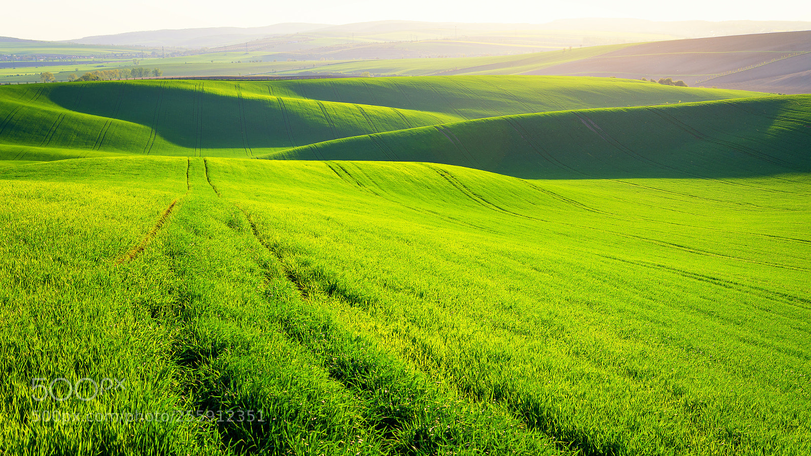 Nikon D610 sample photo. Rolling fields at sunset photography