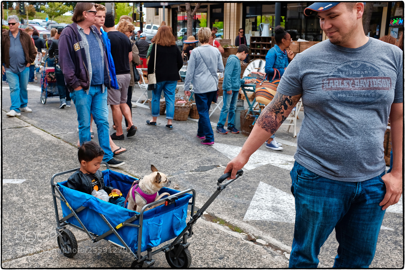 Fujifilm X100T sample photo. Dogs and their people photography