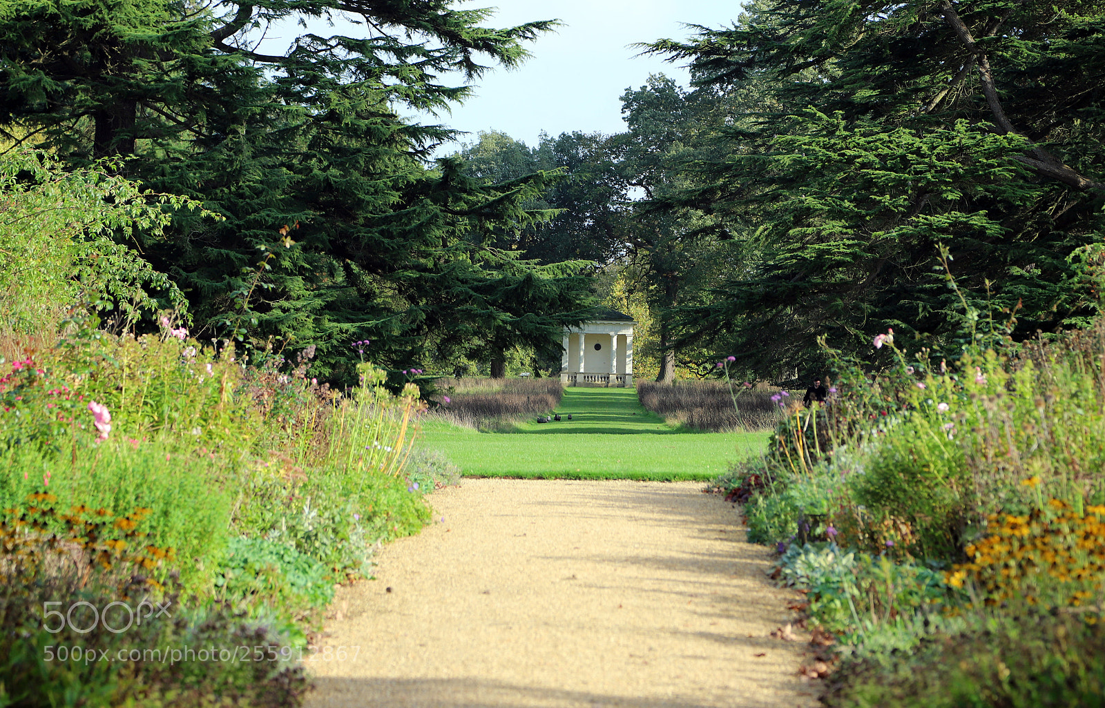 Canon EOS 6D Mark II sample photo. Woburn abbey, bedfordshire, october 2017 photography