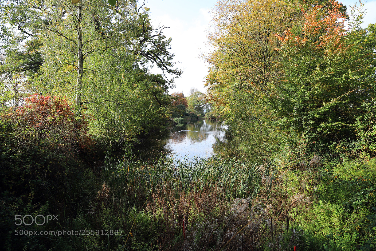 Canon EOS 6D Mark II sample photo. Woburn abbey, bedfordshire, october 2017 photography