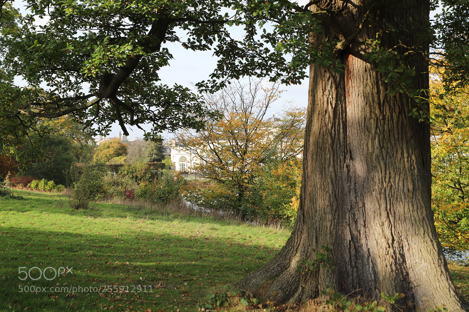 Canon EOS 6D Mark II sample photo. Woburn abbey, bedfordshire, october 2017 photography