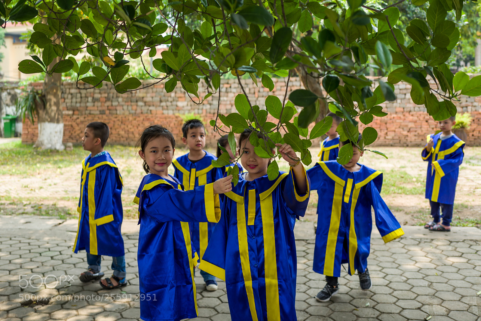 Leica Q (Typ 116) sample photo. Hanoi, vietnam - april photography