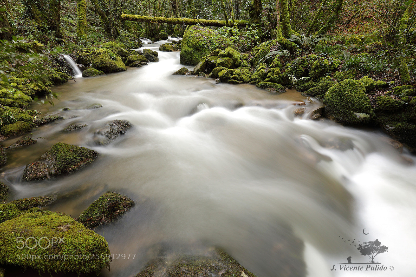 Canon EOS 5D Mark IV sample photo. Gorgua river ii photography
