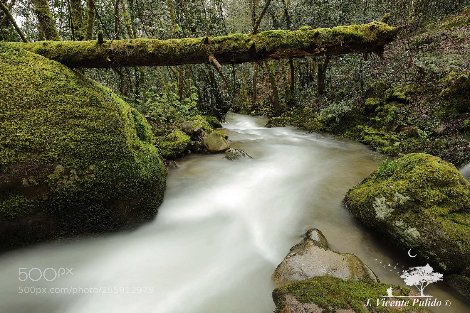 Canon EOS 5D Mark IV sample photo. Gorgua river i photography
