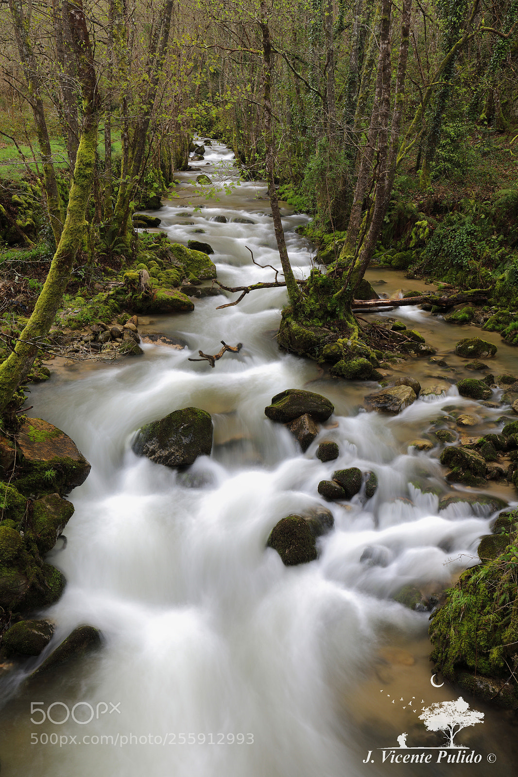 Canon EOS 5D Mark IV sample photo. Gorgua river iii photography