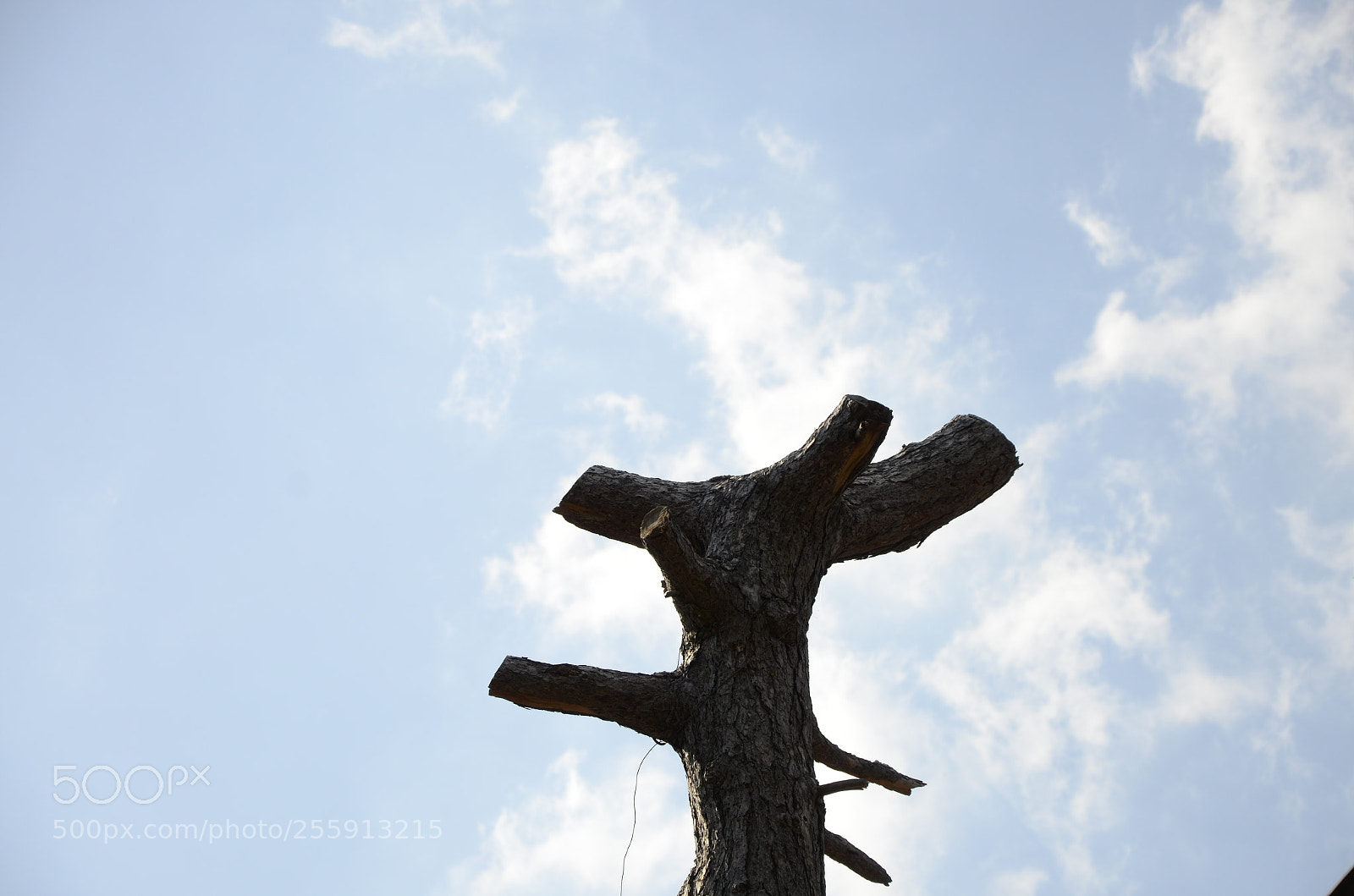 Nikon D7000 sample photo. Alone under the sky photography