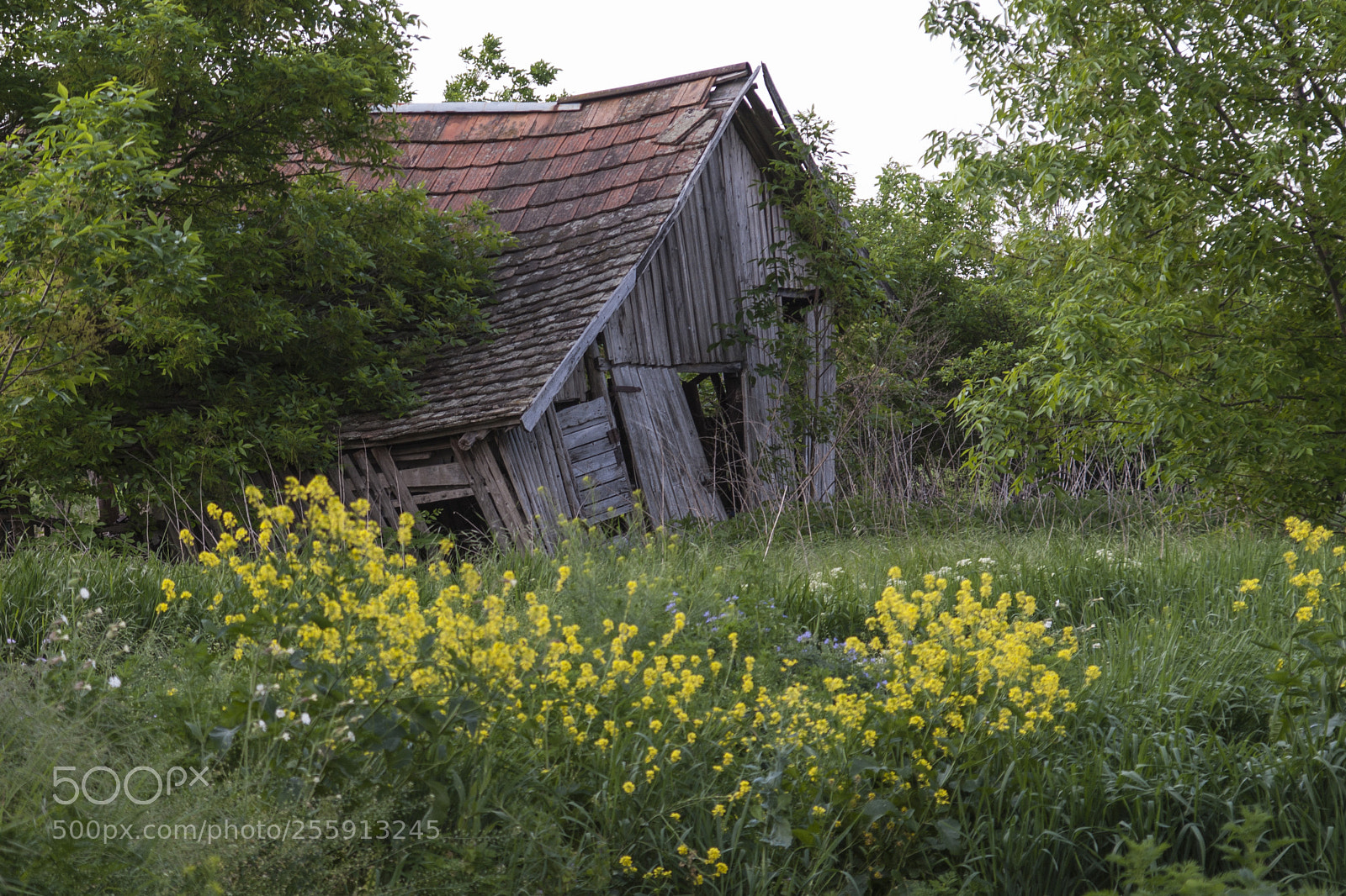 Pentax K200D sample photo. R gi tanya maradv photography