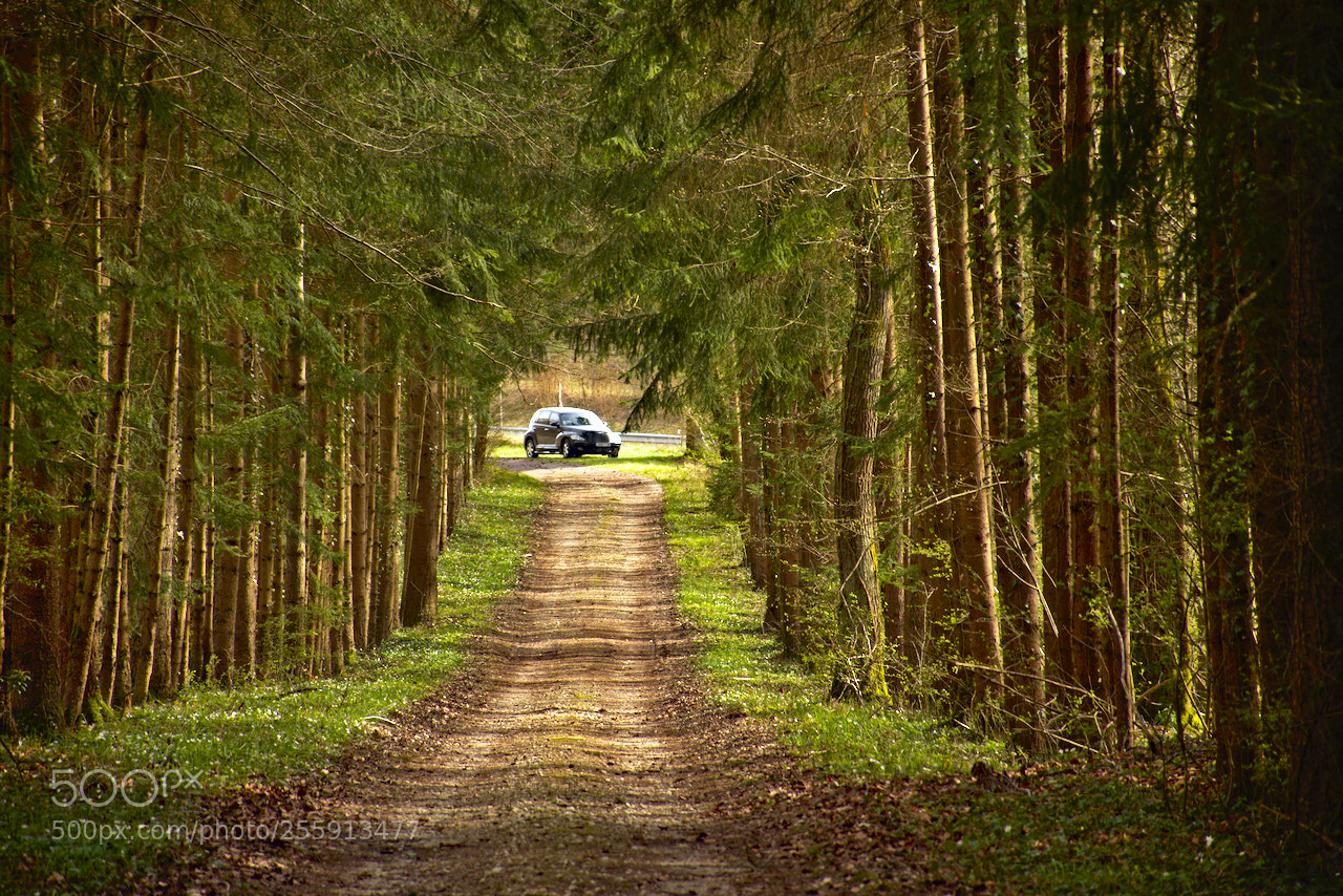 Nikon D5600 sample photo. Au bout du chemein photography