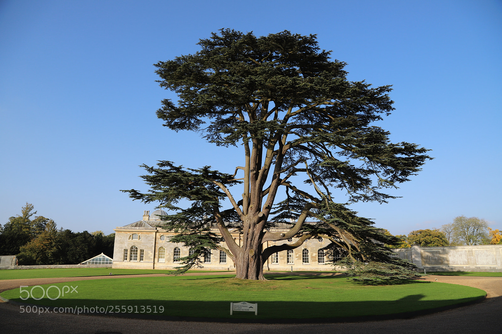 Canon EOS 6D Mark II sample photo. Woburn abbey, bedfordshire, october 2017 photography