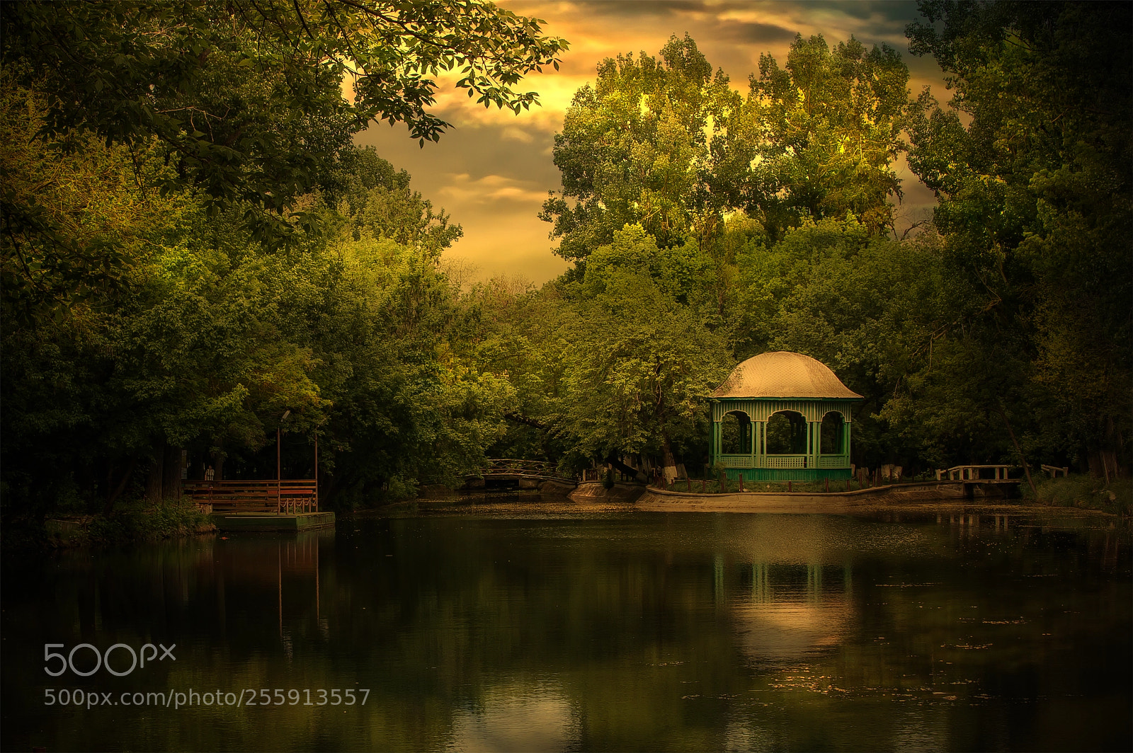 Nikon D3200 sample photo. "constantin poroineanu" park photography