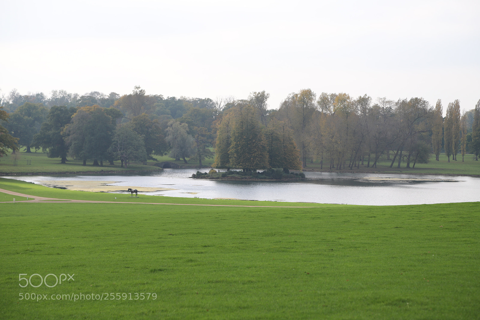 Canon EOS 6D Mark II sample photo. Woburn abbey, bedfordshire, october 2017 photography