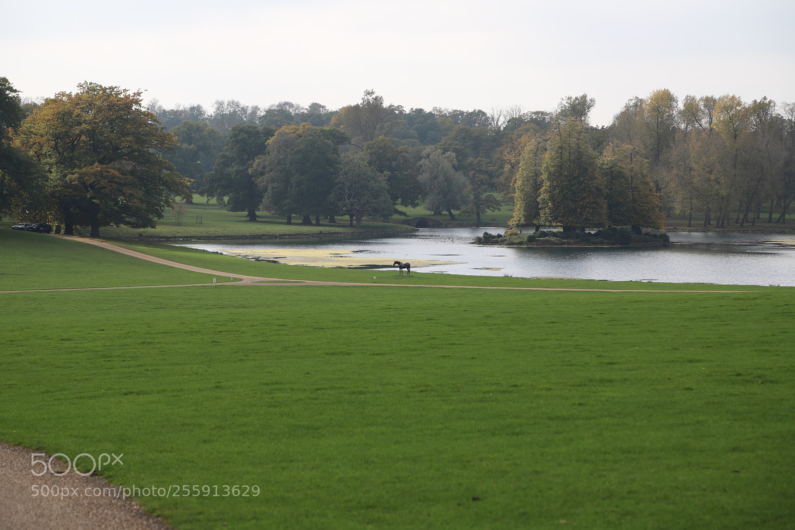 Canon EOS 6D Mark II sample photo. Woburn abbey, bedfordshire, october 2017 photography