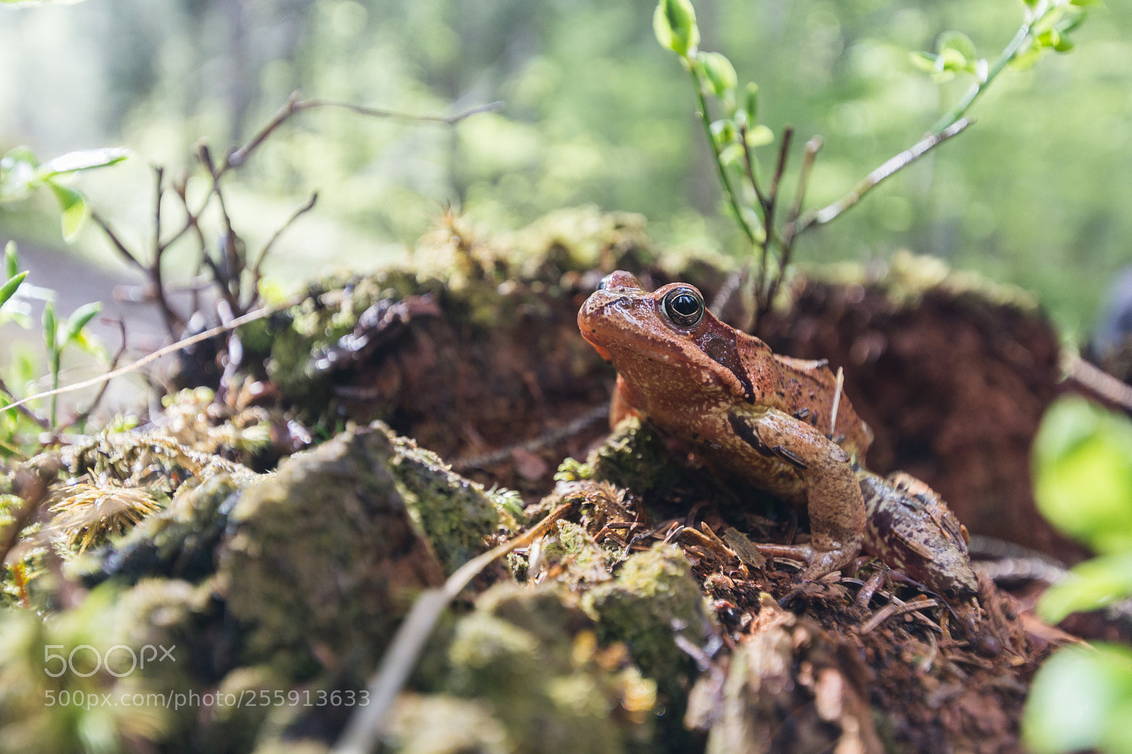 Nikon D7100 sample photo. Untitled photography