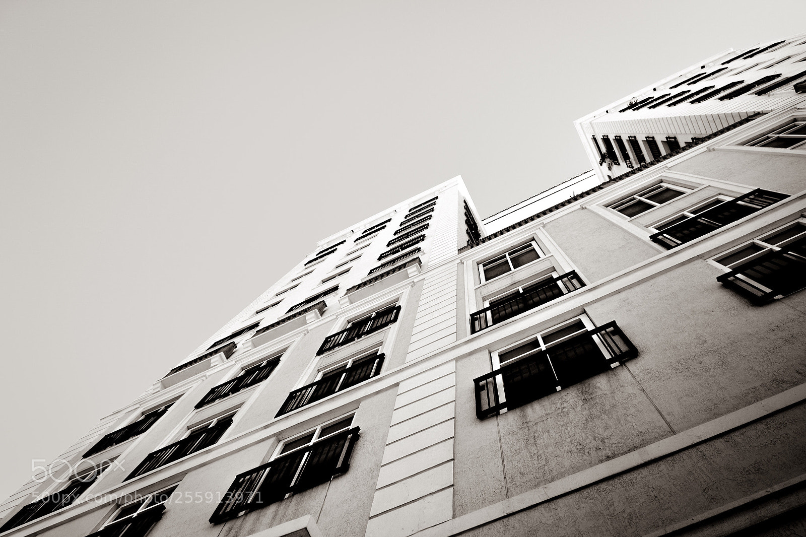 Nikon D3100 sample photo. Look up photography