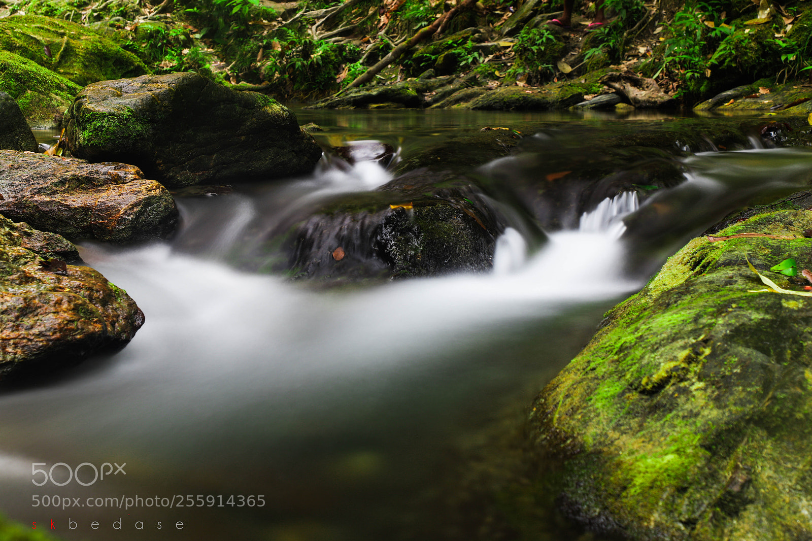Canon EOS 6D Mark II sample photo. Flow photography
