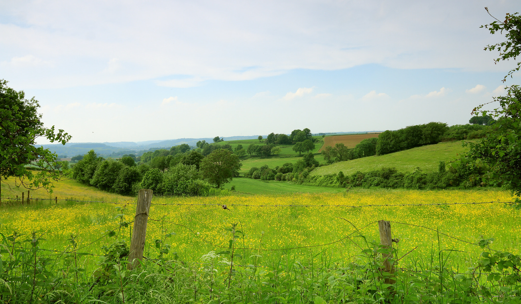 Canon EOS 70D + Canon EF 17-40mm F4L USM sample photo. Landschape zuid limburg, netherlands photography