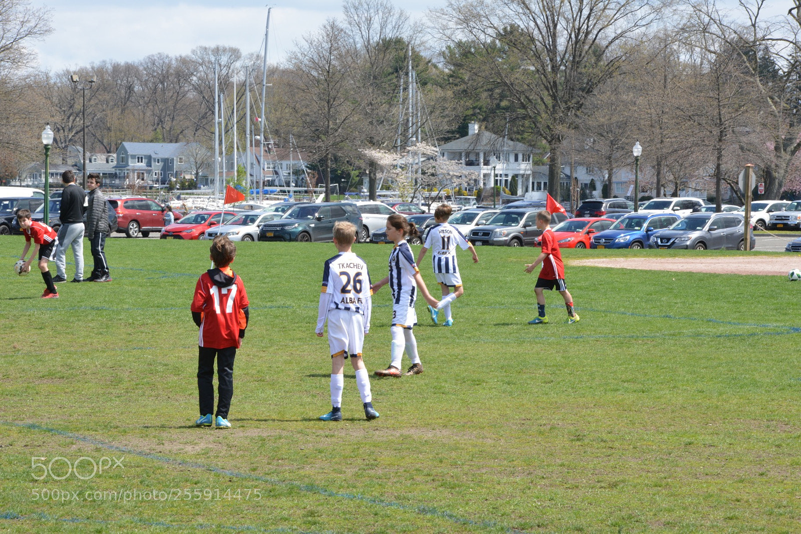 Nikon D800 sample photo. Storm vs silverknights photography