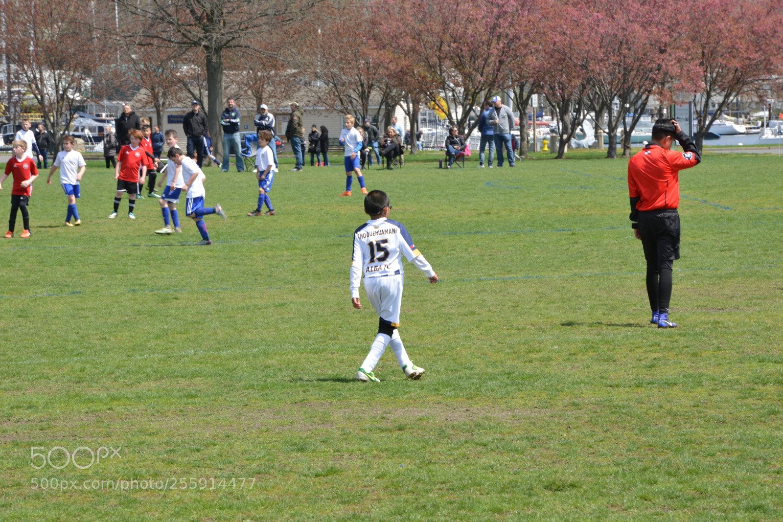 Nikon D800 sample photo. Storm vs silverknights photography