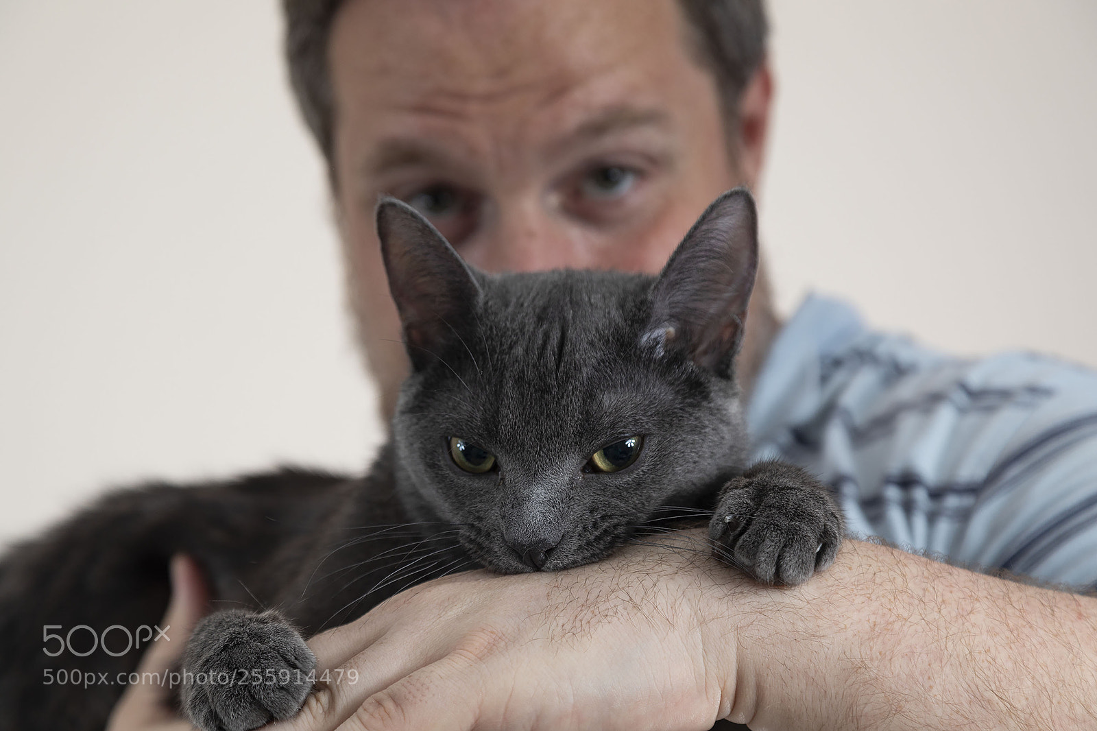 Canon EOS 5D Mark IV sample photo. Shini biting photography