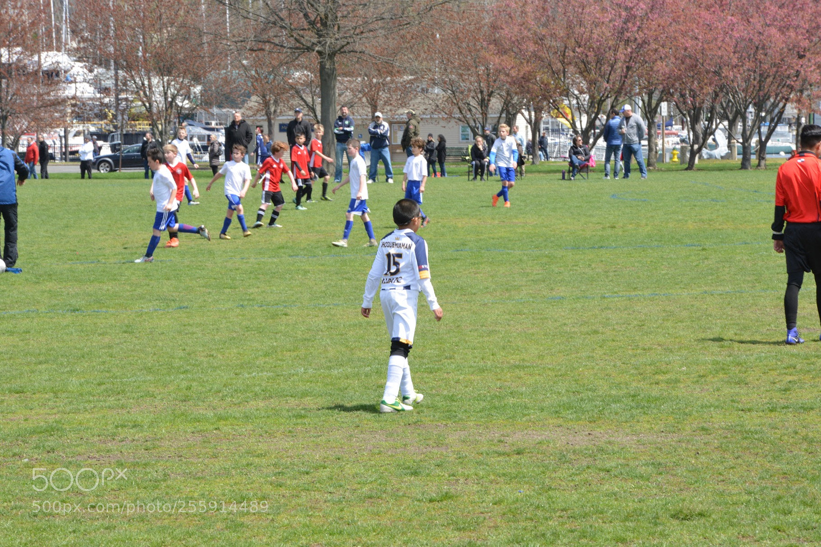 Nikon D800 sample photo. Storm vs silverknights photography