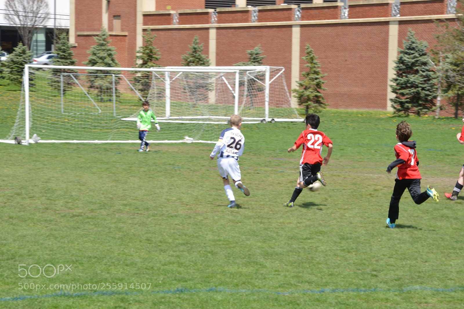 Nikon D800 sample photo. Storm vs silverknights photography