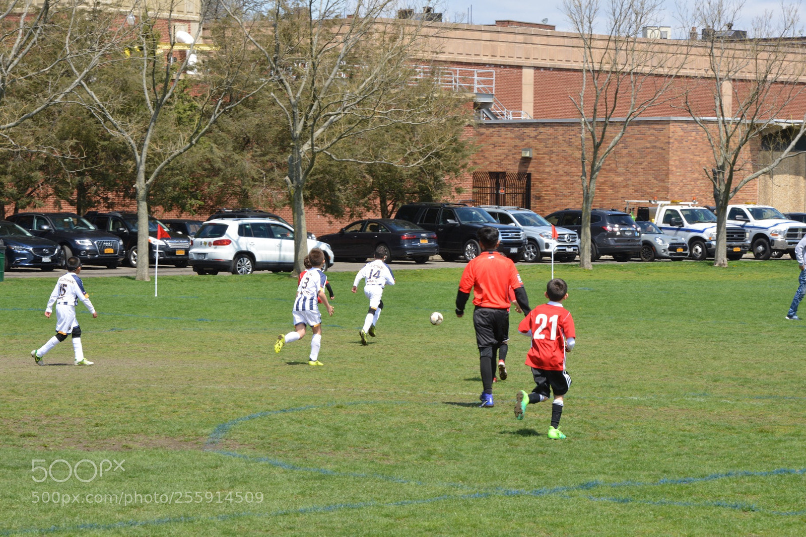 Nikon D800 sample photo. Storm vs silverknights photography