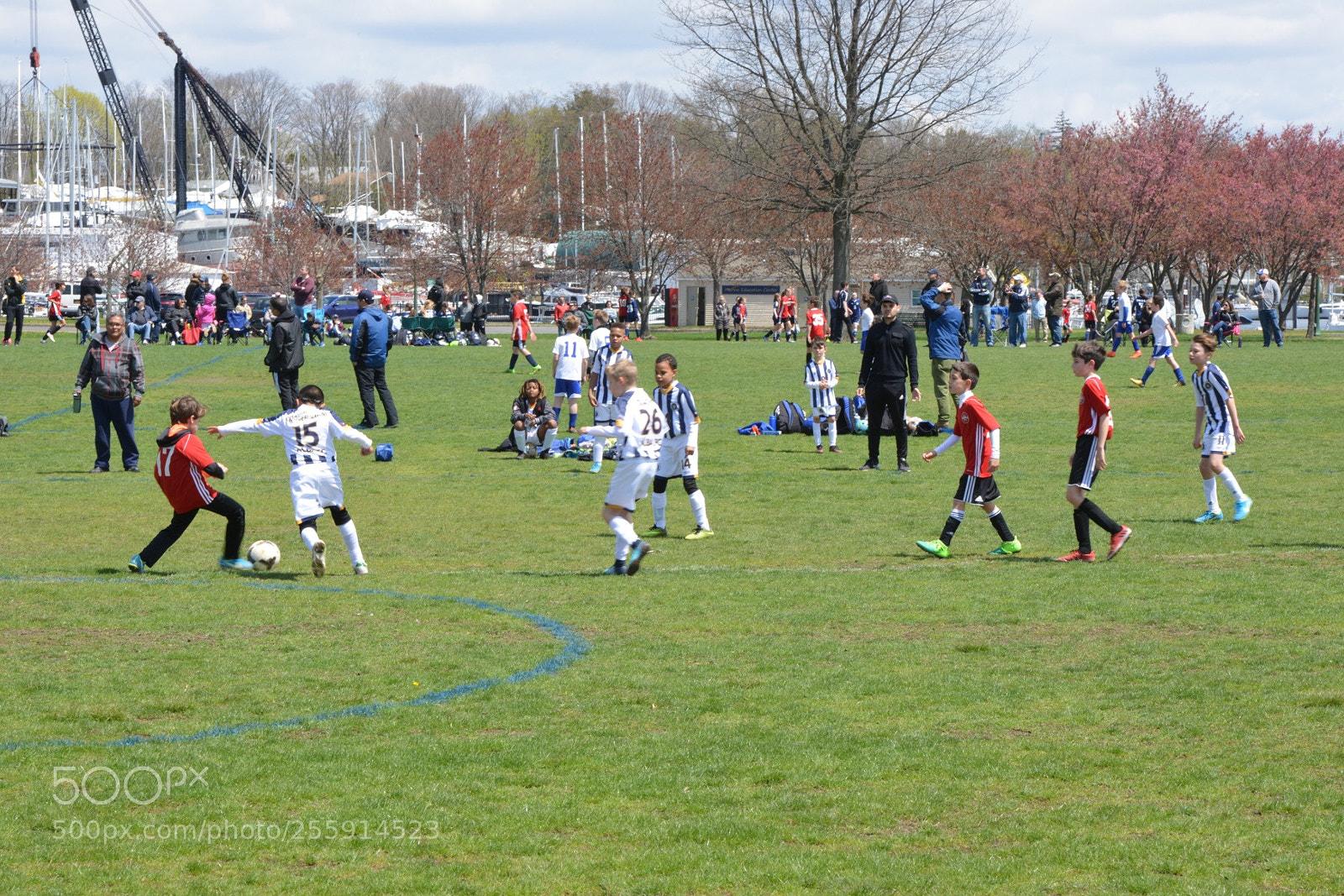 Nikon D800 sample photo. Storm vs silverknights photography