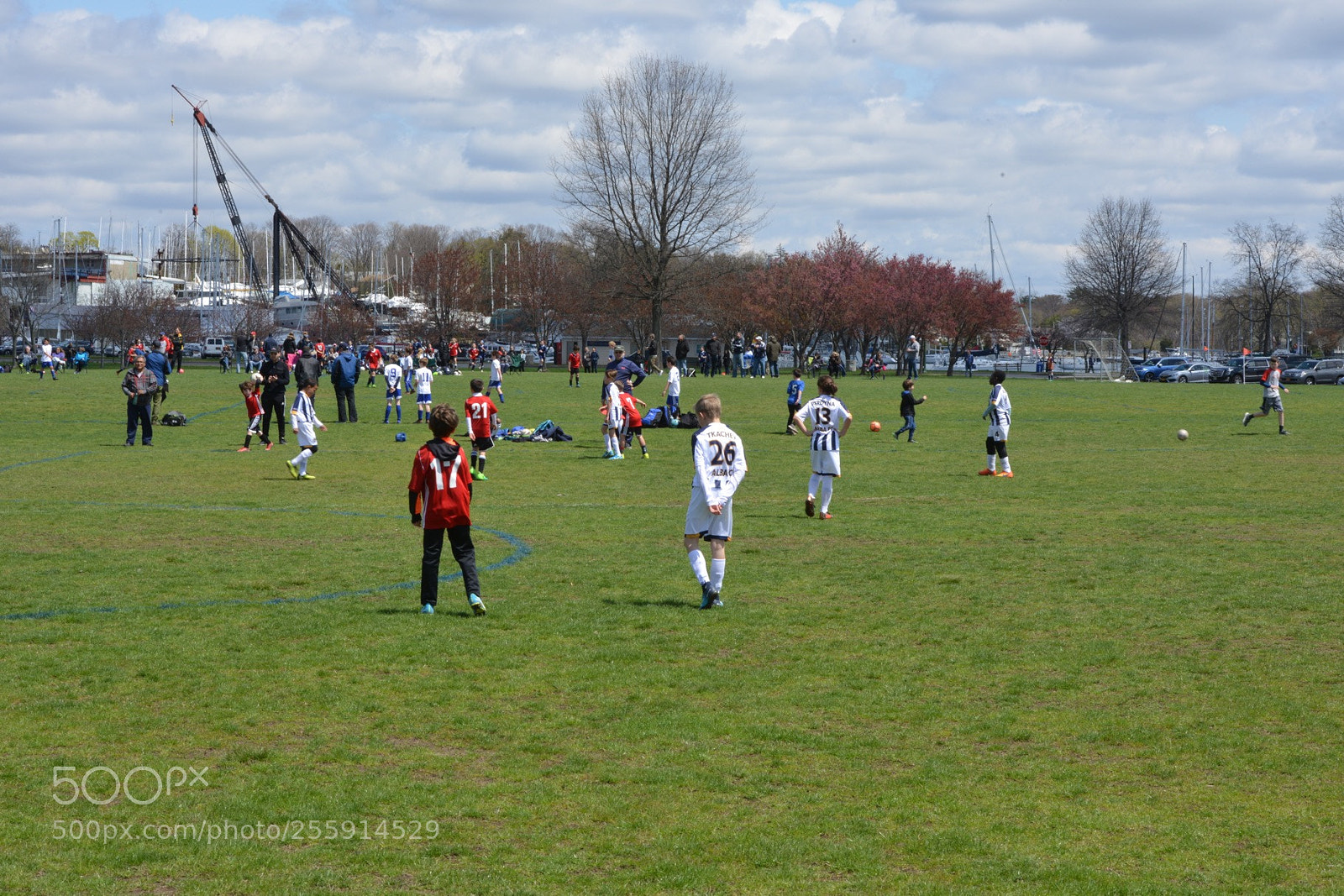 Nikon D800 sample photo. Storm vs silverknights photography