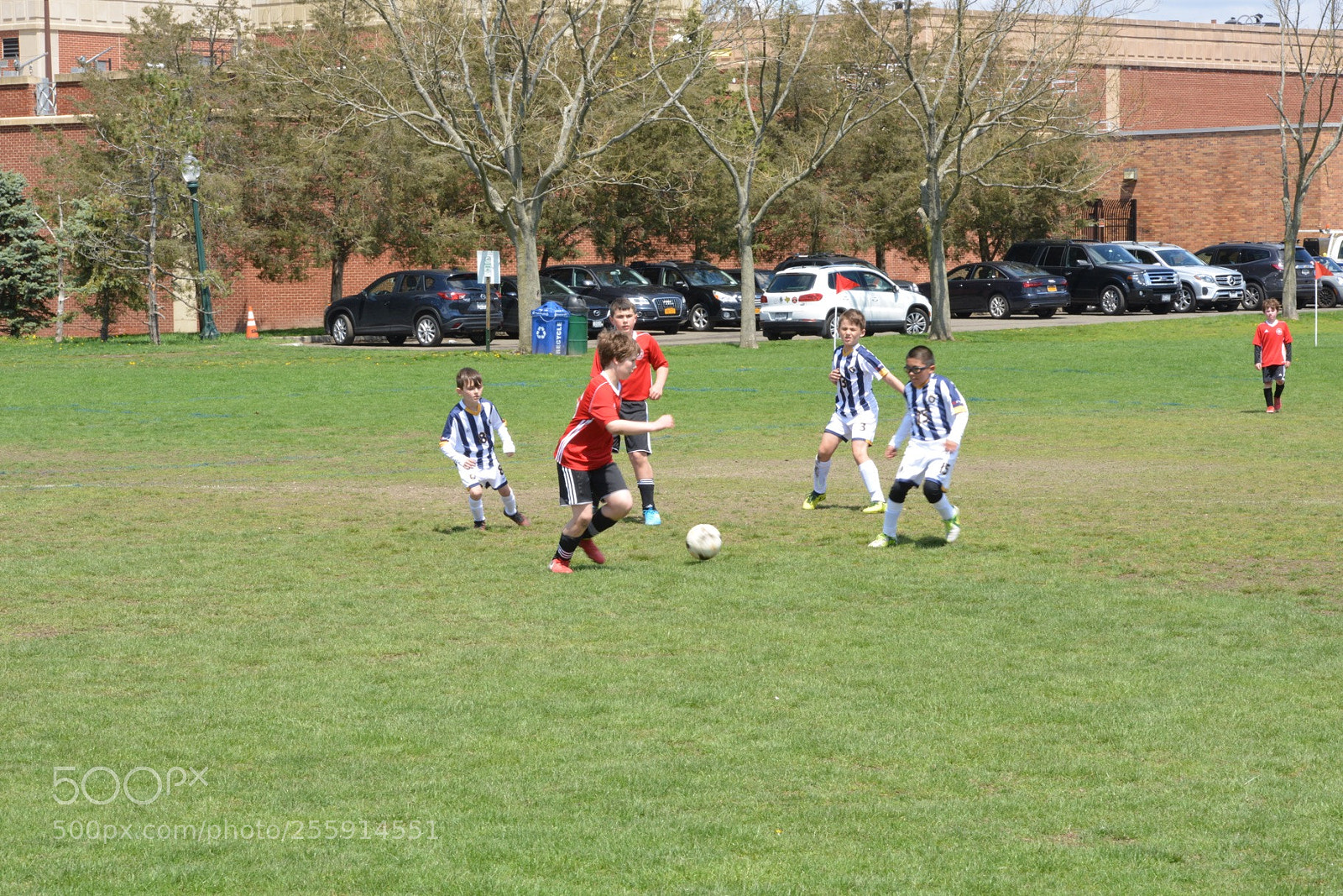 Nikon D800 sample photo. Storm vs silverknights photography