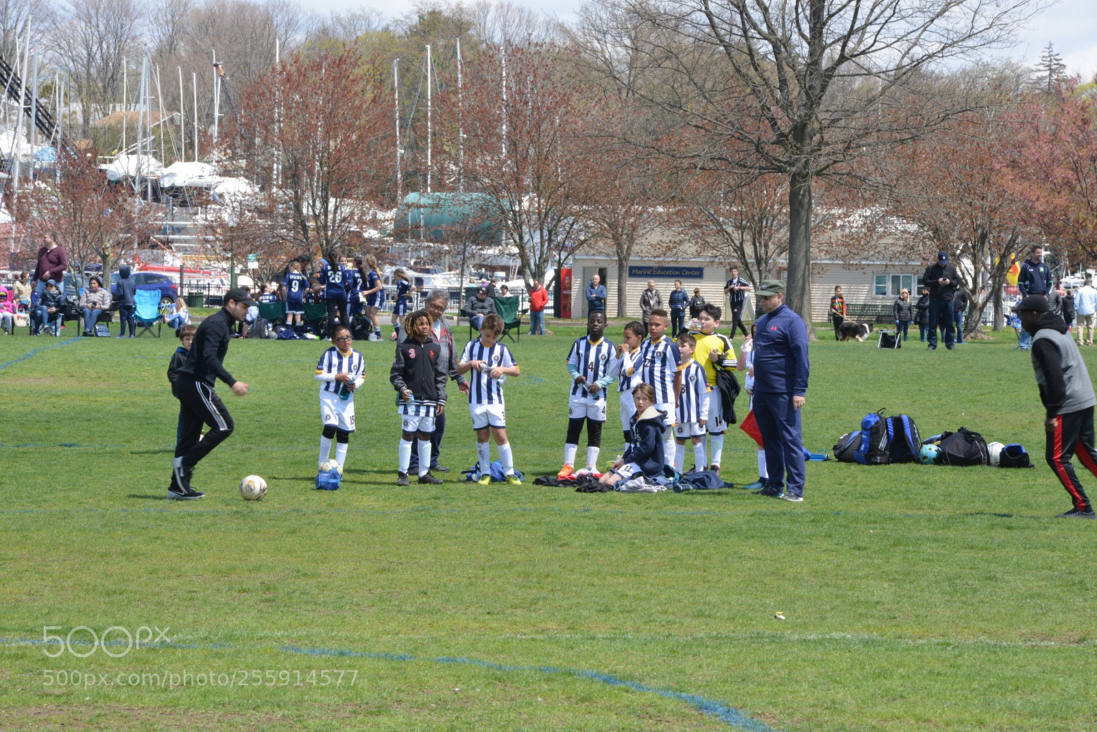 Nikon D800 sample photo. Storm vs silverknights photography
