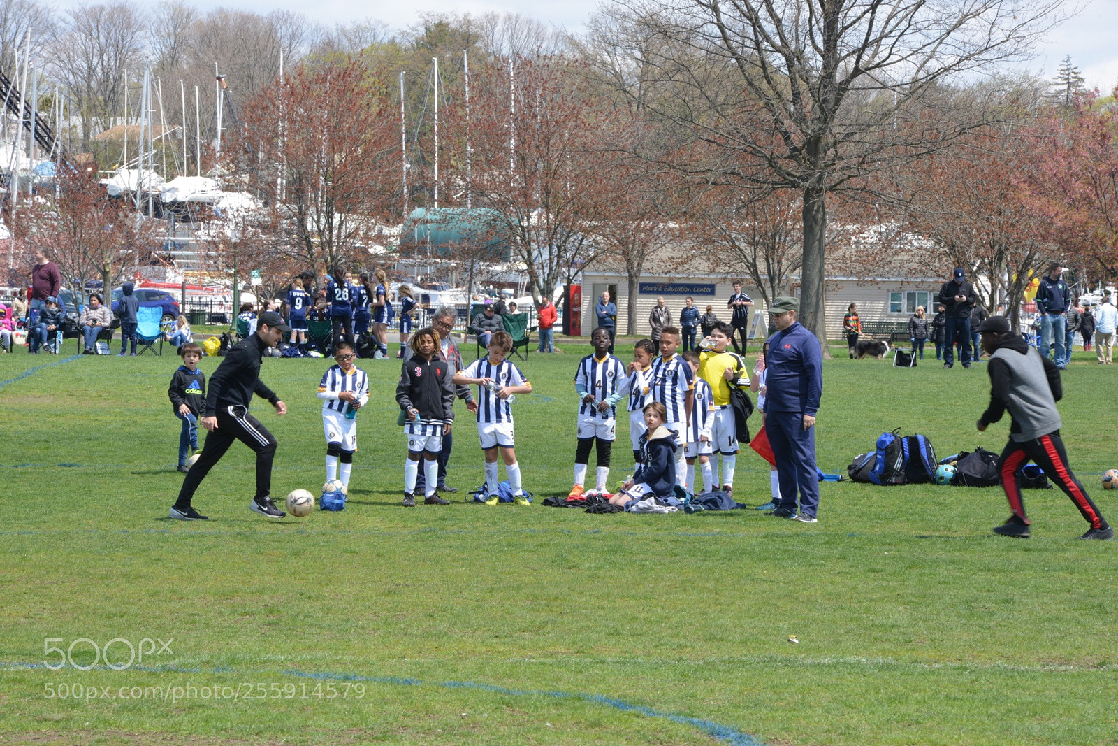Nikon D800 sample photo. Storm vs silverknights photography