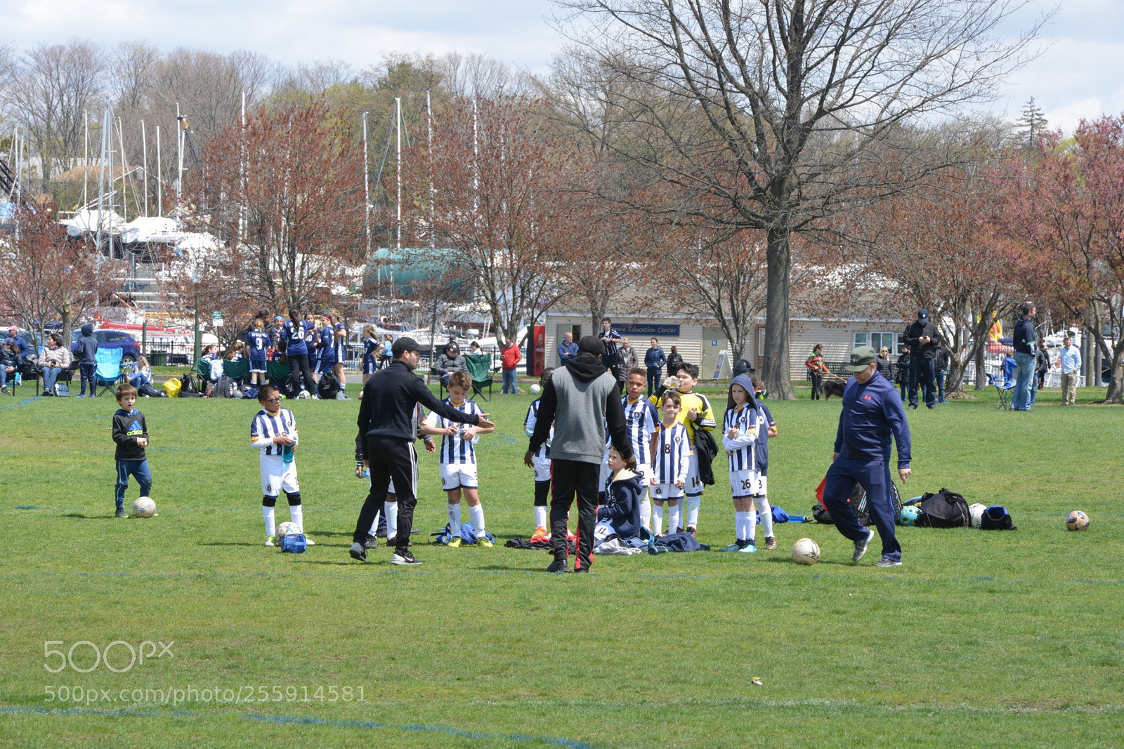 Nikon D800 sample photo. Storm vs silverknights photography