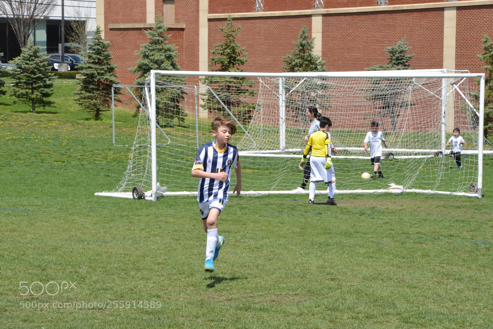 Nikon D800 sample photo. Storm vs silverknights photography
