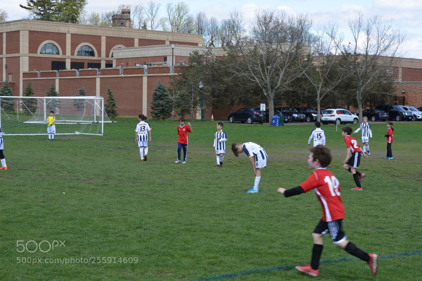 Nikon D800 sample photo. Storm vs silverknights photography