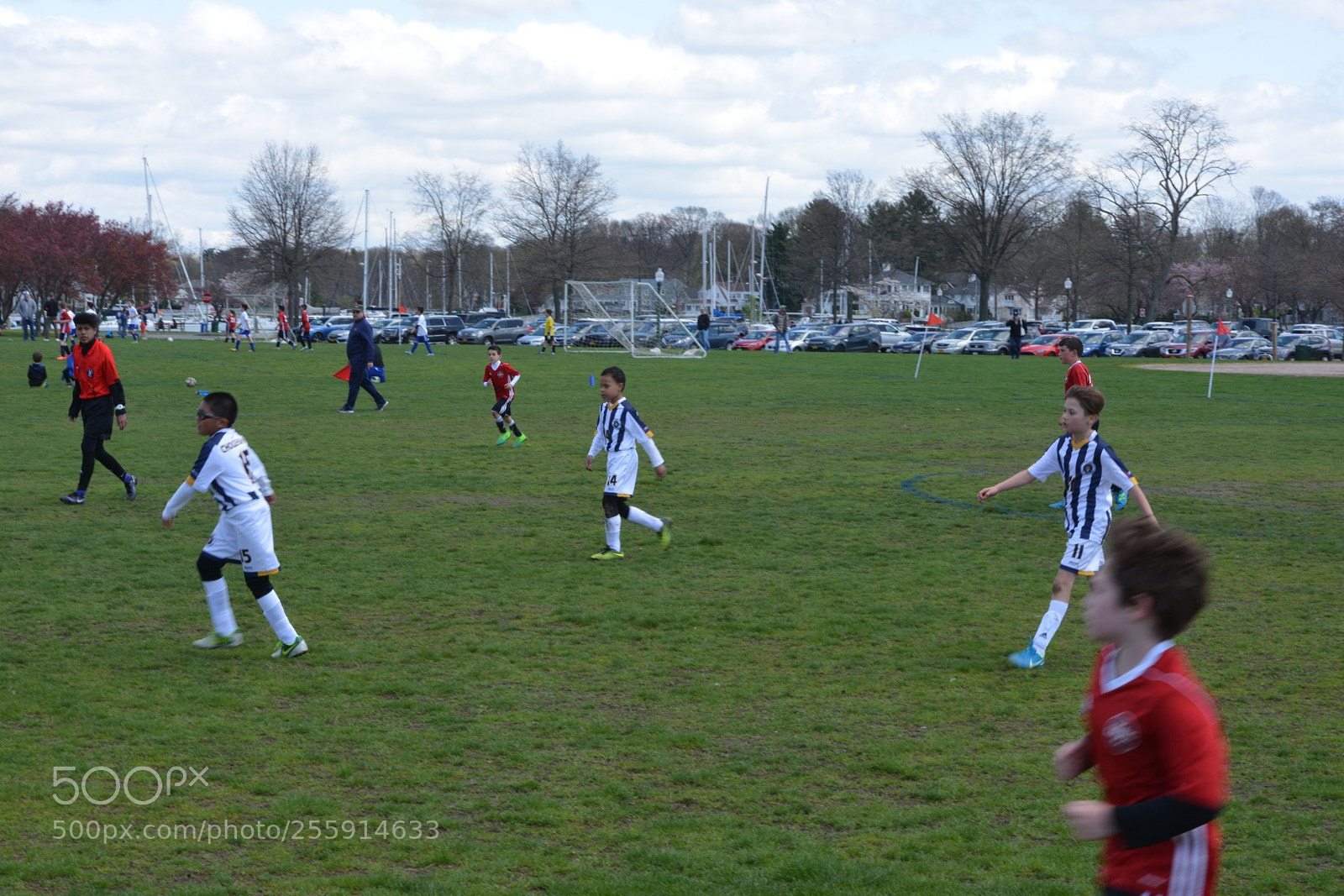 Nikon D800 sample photo. Storm vs silverknights photography