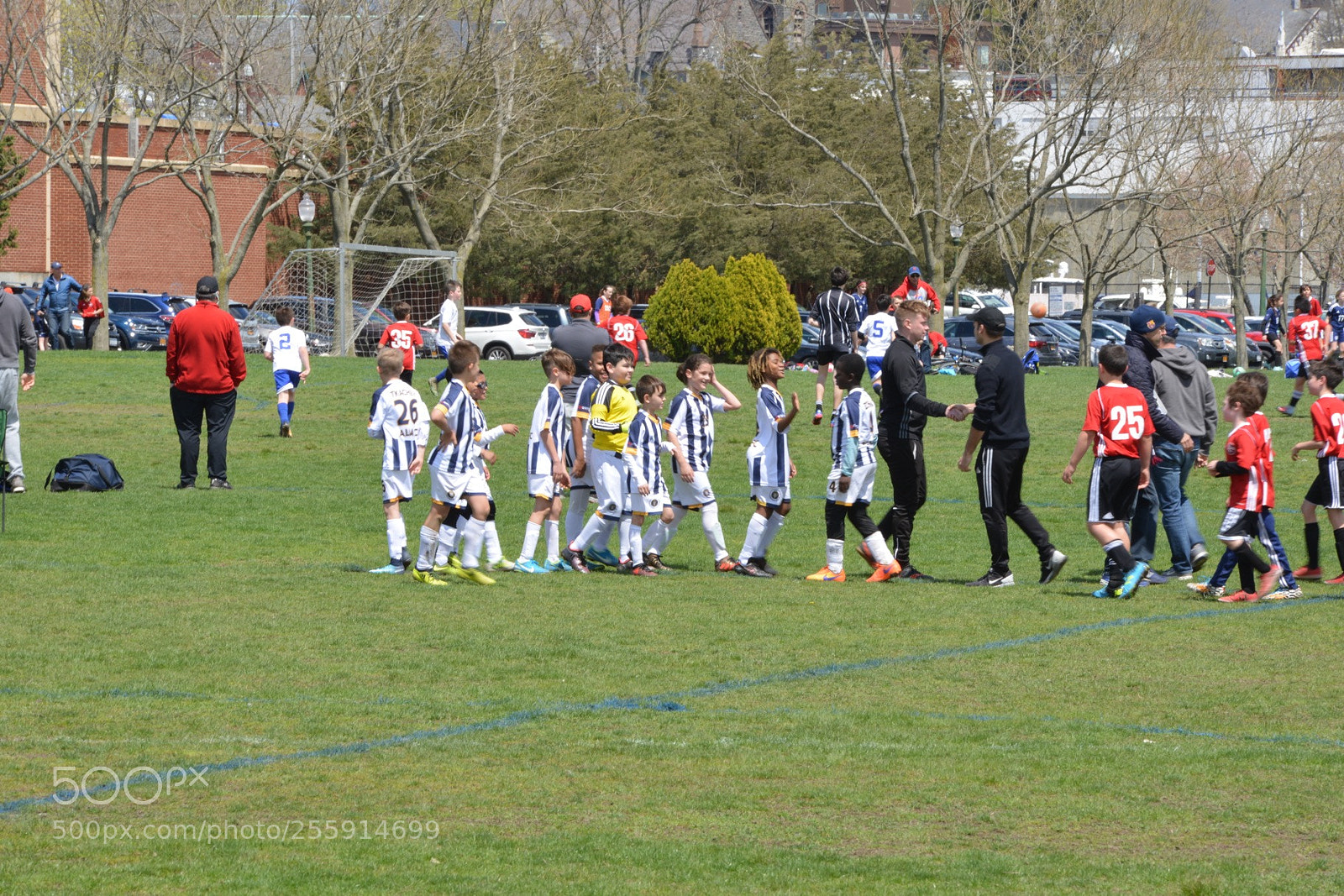 Nikon D800 sample photo. Storm vs silverknights photography