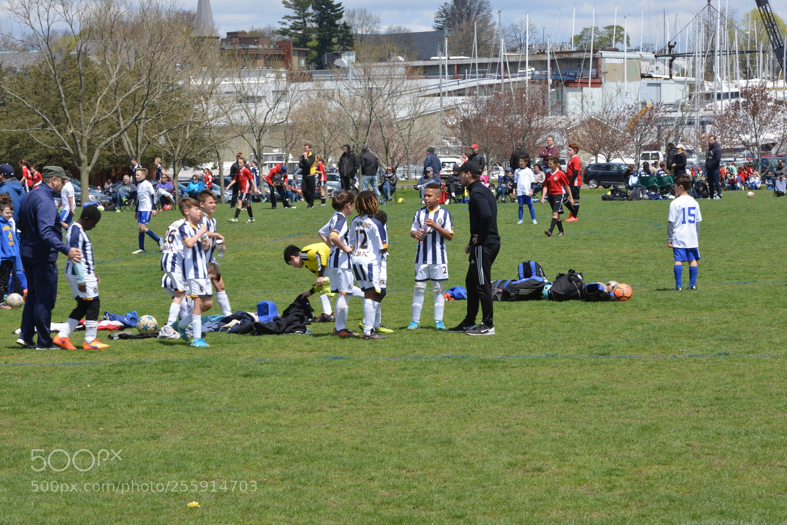 Nikon D800 sample photo. Storm vs silverknights photography